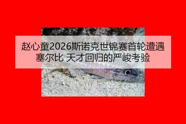 赵心童2026斯诺克世锦赛首轮遭遇塞尔比 天才回归的严峻考验